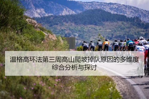 wen-ge-gao-huan-fa-di-san-zhou-gao-shan-pa-po-diao-dui-yuan-yin-de-duo-wei-du-zong-he-fen-xi-yu-tan-tao-2-588.jpg
