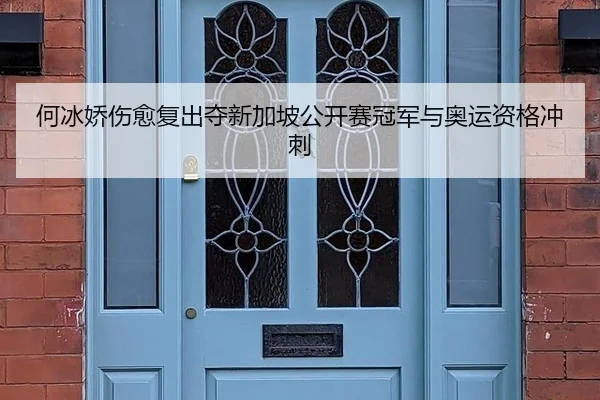 he-bing-jiao-shang-yu-fu-chu-duo-xin-jia-po-gong-kai-sai-guan-jun-yu-ao-yun-zi-ge-chong-ci-3-777.jpg